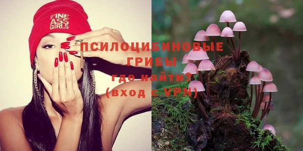 амф Алексеевка