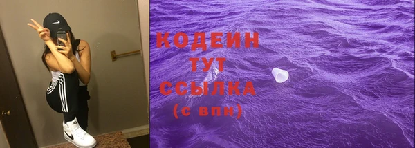 прущий лед Нестеровская